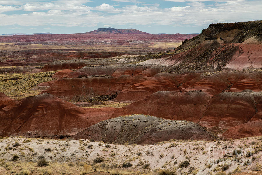 Painted Desert National Park Photograph - Whipple Point  8b9248L by Stephen Parker