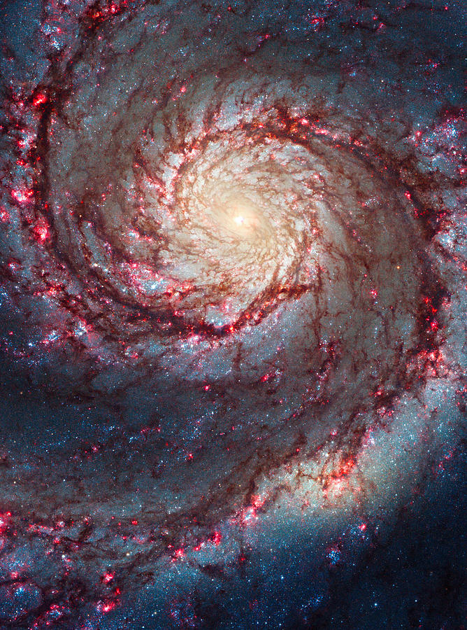 Whirlpool Galaxy Photograph by Mark Andrew Thomas