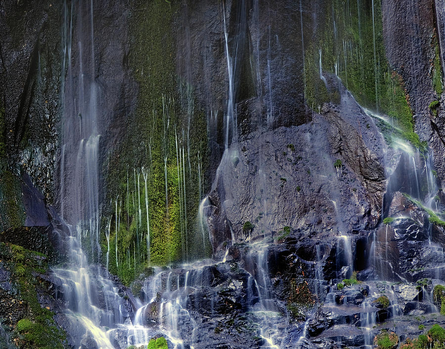 Whispering Falls Photograph