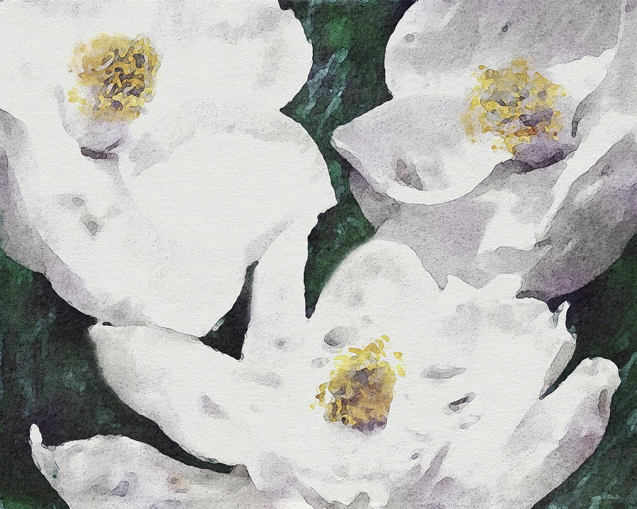 Whispering Magnolias- Art by Linda Woods Mixed Media by Linda Woods