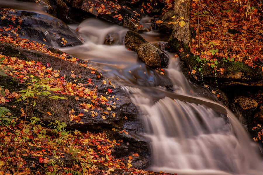 Whispers of Fall A Vermont Waterfall in Peak Foliag Photograph by Jeff Folger Whispers of Fall A Vermont Waterfall in Peak Foliag Photograph by Jeff Folger
