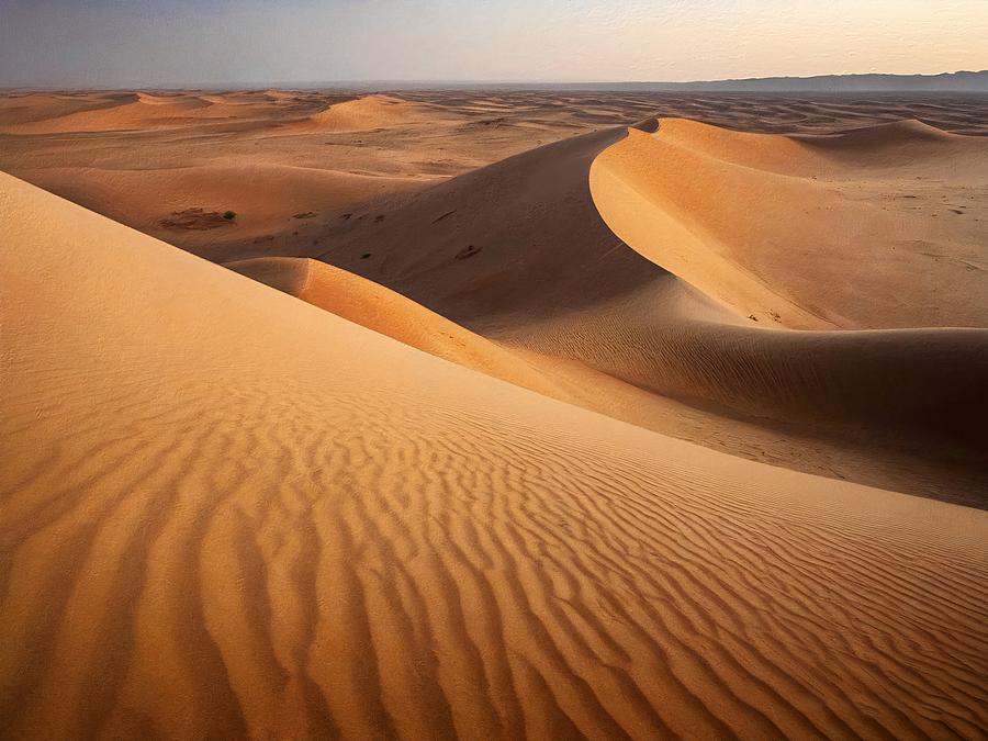 Whispers of Solitude - Journeys in the Sahara Digital Art by Samuel HUYNH Whispers of Solitude - Journeys in the Sahara Digital Art by Samuel HUYNH