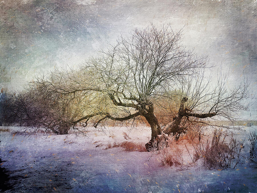 Whispers of Winters Soul Photograph by Randi Grace Nilsberg