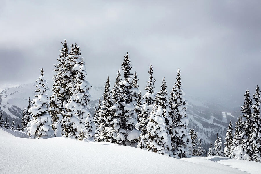 Whistler Blackcomb Mountains Snow Beauty Photograph