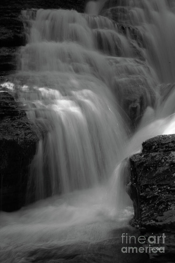 Whitaker Falls - BW by Tony Baca Whitaker Falls - BW by Tony Baca