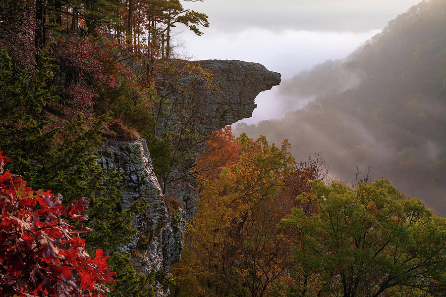 Landmark Photograph - Whitaker Point Morning View In Autumn - Ozark National Forest by Gregory Ballos