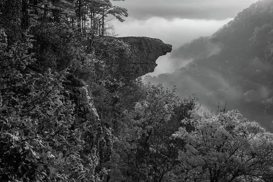Black And White Photograph - Whitaker Point Morning View In Black and White - Ozark National Forest by Gregory Ballos