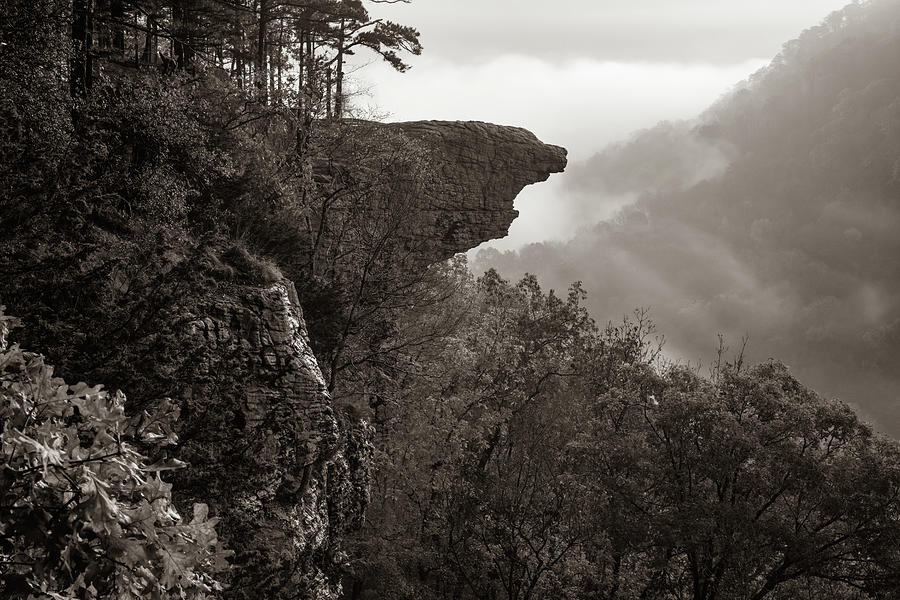Whitaker Point Morning View In Sepia - Ozark National Forest Photograph by Gregory Ballos