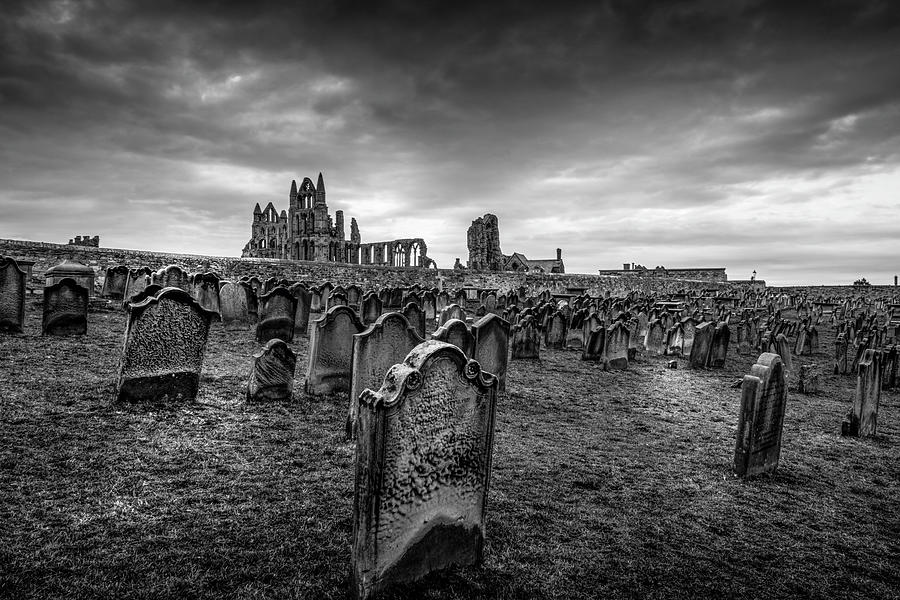 Whitby Abbey and St Hilda's Graveyard Photograph by Tim Hill Fine Art