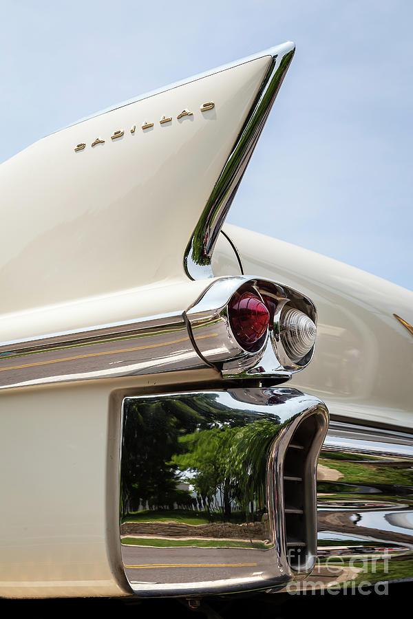 White 1958 Cadillac Fin Photograph by Dennis Hedberg