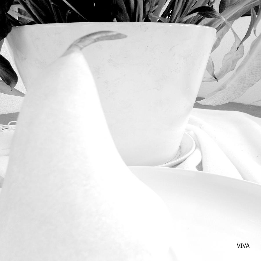 WHITE 4 Abstract. -  Minimalsm Photograph by VIVA Anderson