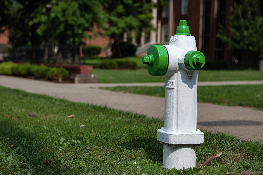 White and Green Fire Hydrant Photograph by Melinda Ledsome