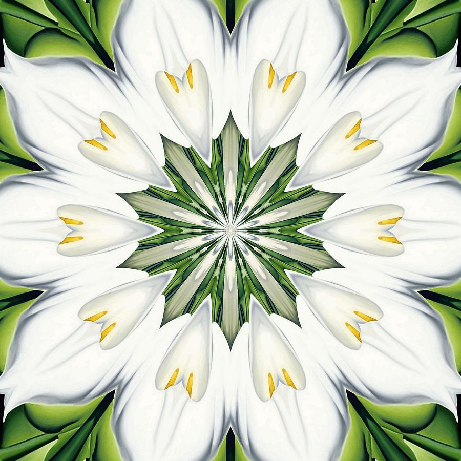 White and Green Tropical Flora Mandala  Digital Art by Taiche Acrylic Art