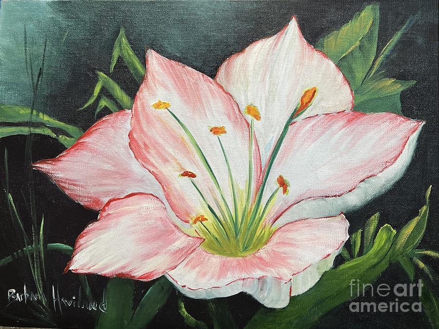 White and Red Amaryllis Painting by Barbara Haviland