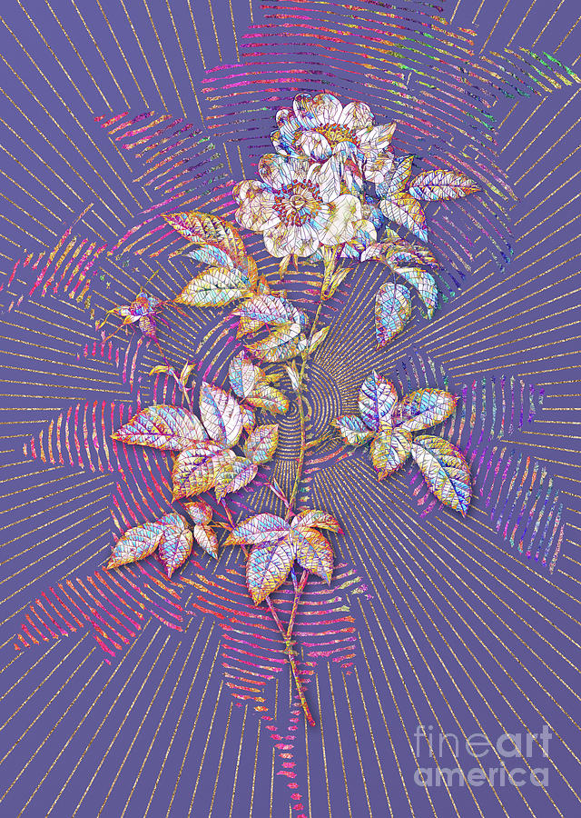 White Anjou Roses Mosaic Botanical Art on Veri Peri n.0433 Mixed Media by Holy Rock Design
