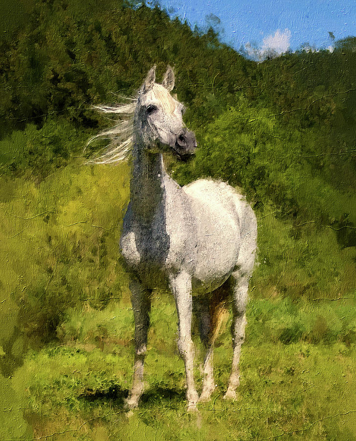 White Arabian horse sitting in front of a mountain forest - digital painting Digital Art by Nicko Prints