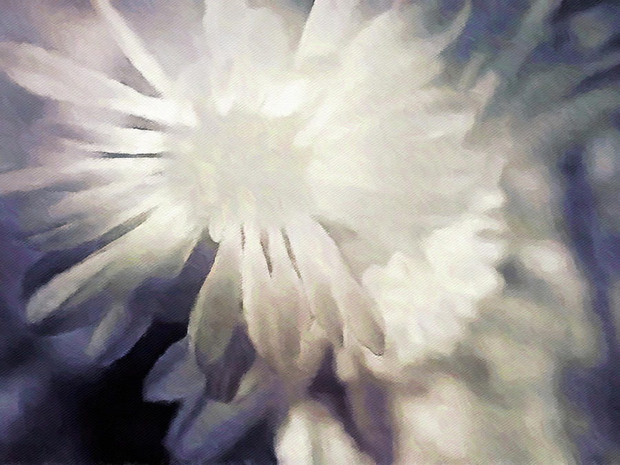White Aster Flowers Painting by Susan Maxwell Schmidt