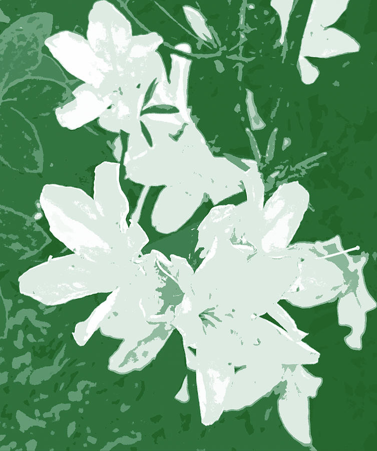 Flower Digital Art - White Azalea Blooms Cutout by Marian Bell