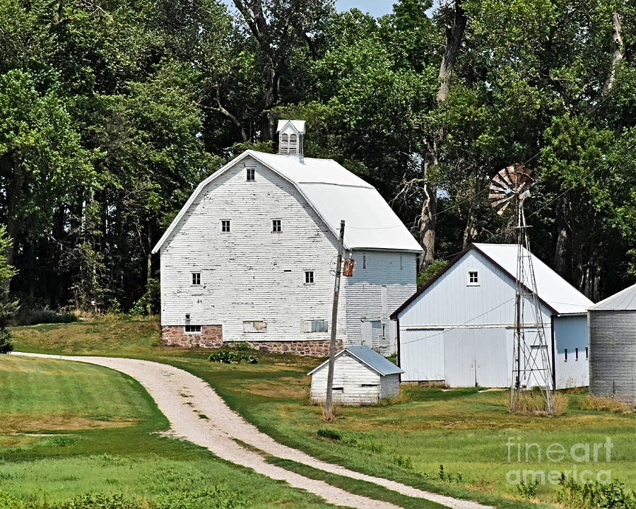 White Barn And Sheds Photograph by Kathy M Krause
