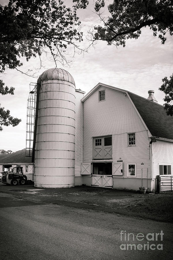 White Barn and Silo Photograph by Colleen Kammerer