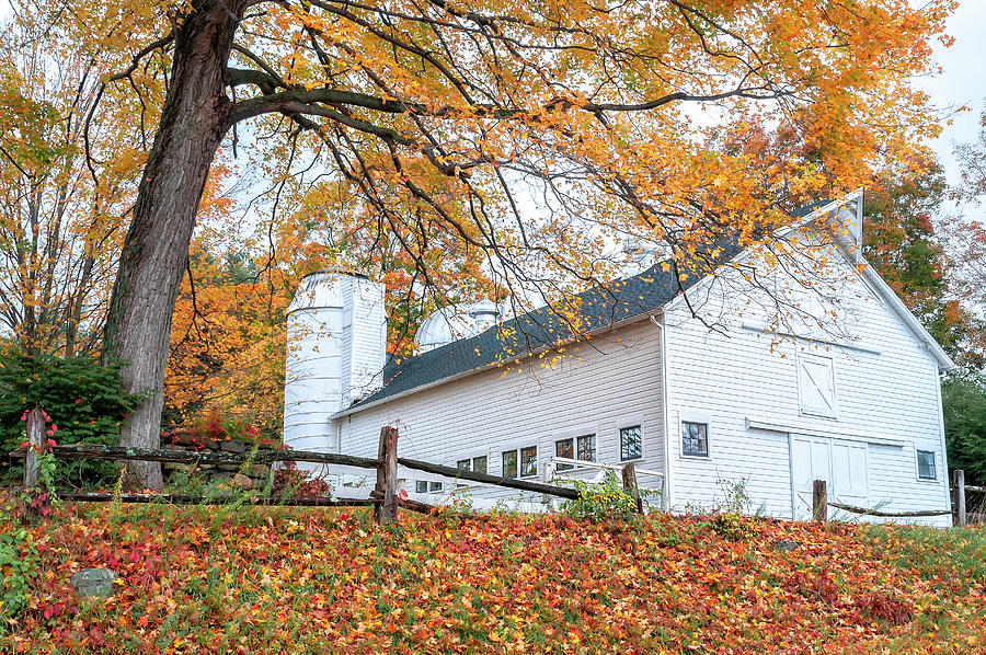 Farm Photograph - White Connecticut Barn and Silo Fall Foliage Season by Photos by Thom