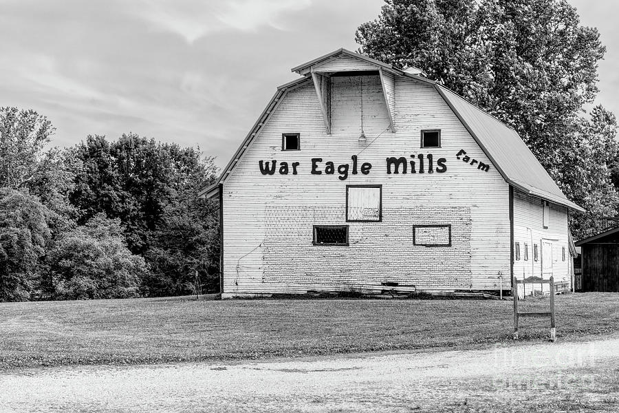White Barn At War Eagle Mills Farm Grayscale Photograph by Jennifer White