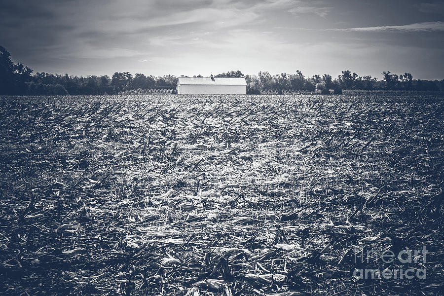 White Barn Photograph by Colleen Kammerer
