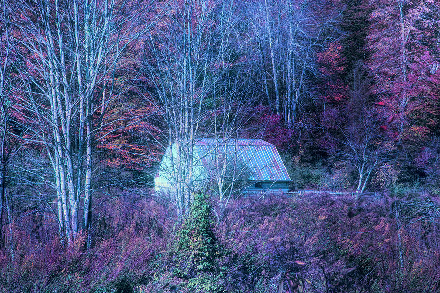 White Barn Farm Creeper Trail in Autumn Evening Fall Colors Dama Photograph by Debra and Dave Vanderlaan