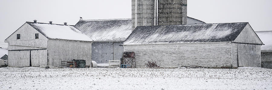 White Barns in Snow Photograph by Tana Reiff