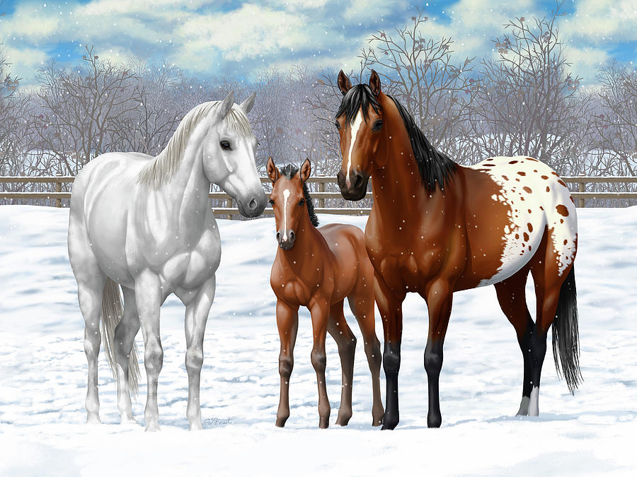 Bay Appaloosa Horses In Winter Pasture Painting by Crista Forest - Pixels