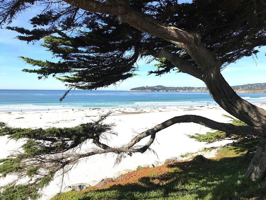 Nature Photograph - White Beach Carmel by the Sea by Luisa Millicent
