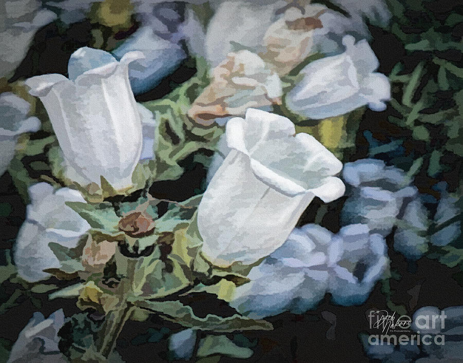 White Bells Digital Art by Deb Nakano