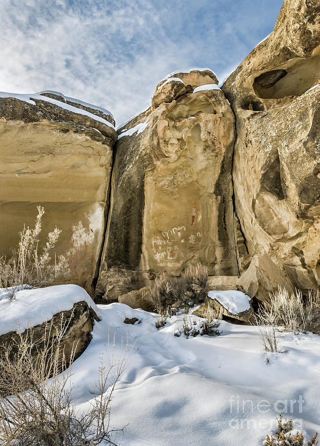 Winter Photograph - White Birds Rock Art Site in Canyon Pintado by John Arnaldi