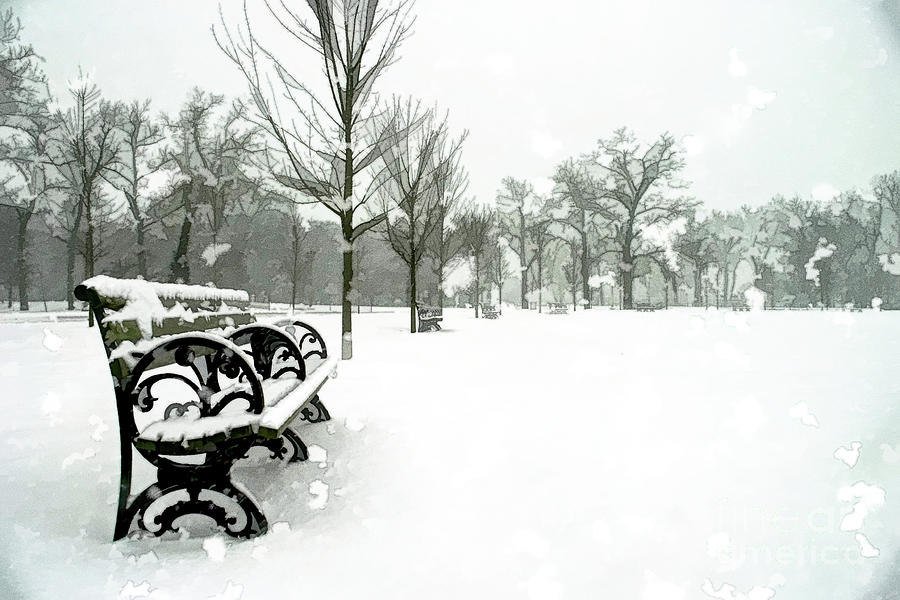 Forest Park Digital Art - White Blanket Bench - Oil Painting by Chris Mautz Forest Park Digital Art - White Blanket Bench - Oil Painting by Chris Mautz