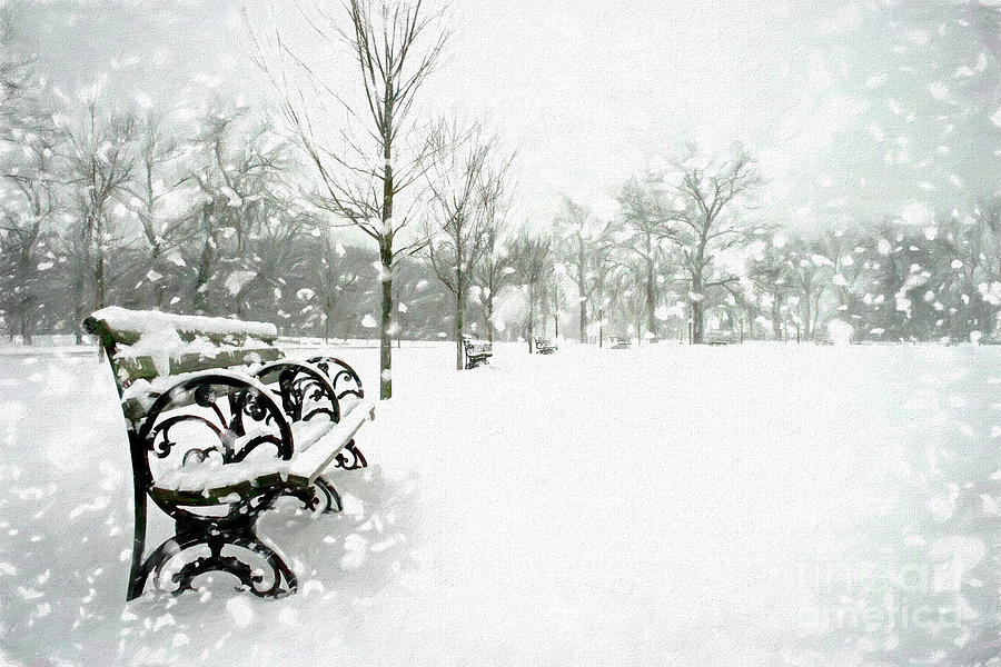 Forest Park Digital Art - White Blanket Bench - Simple Sketch by Chris Mautz Forest Park Digital Art - White Blanket Bench - Simple Sketch by Chris Mautz