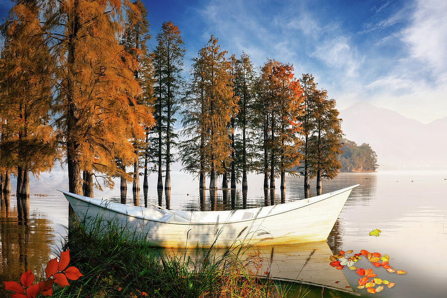 Boat Photograph - White Boat in the Cypress Trees by Debra and Dave Vanderlaan