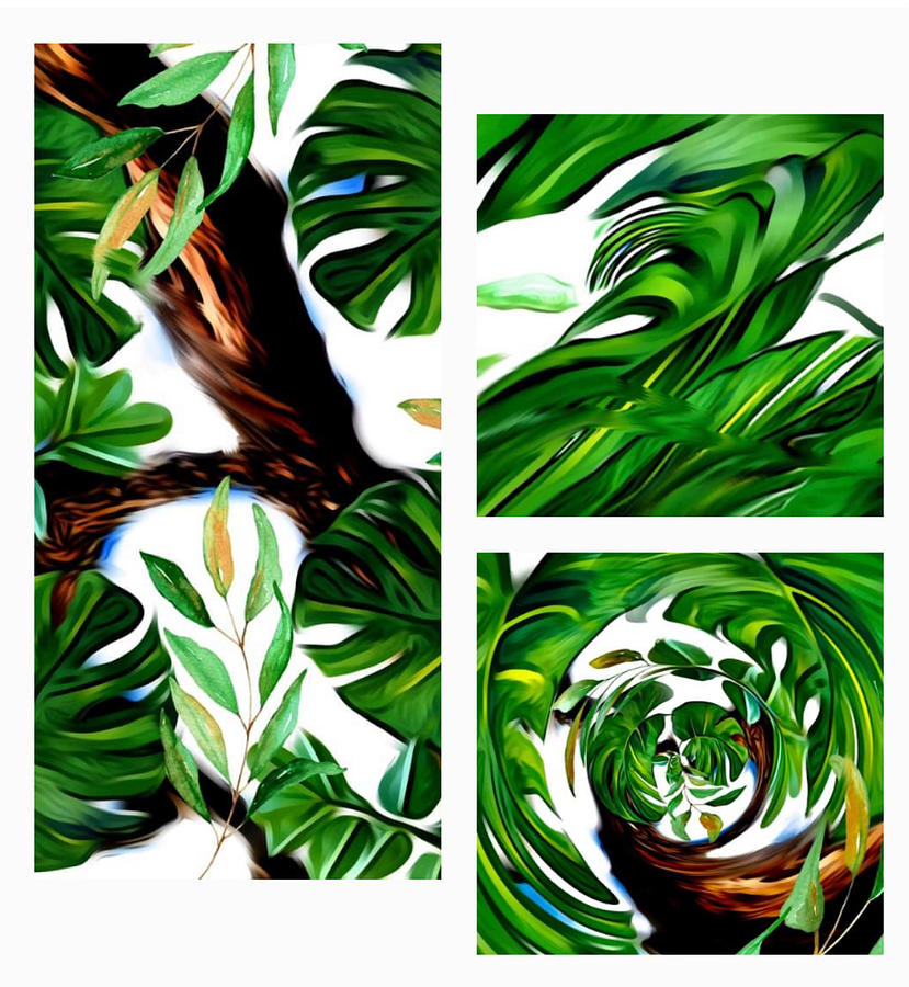 White Border Tree Trio and Green Swirling Digital Art by Gayle Price Thomas
