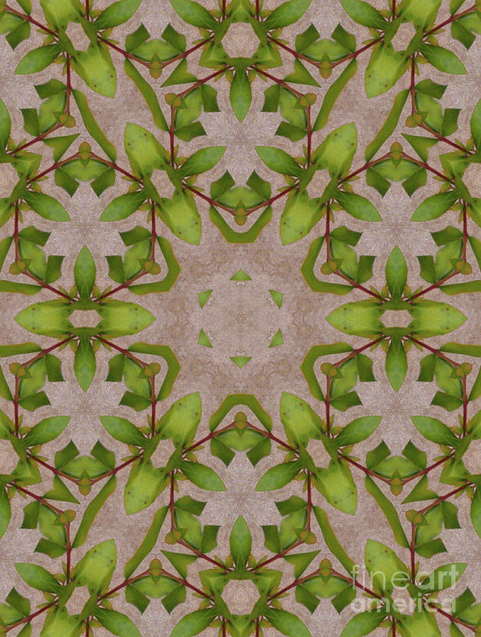 White Bouquet and Leaves Kaleidoscope Digital Art by Charles Robinson