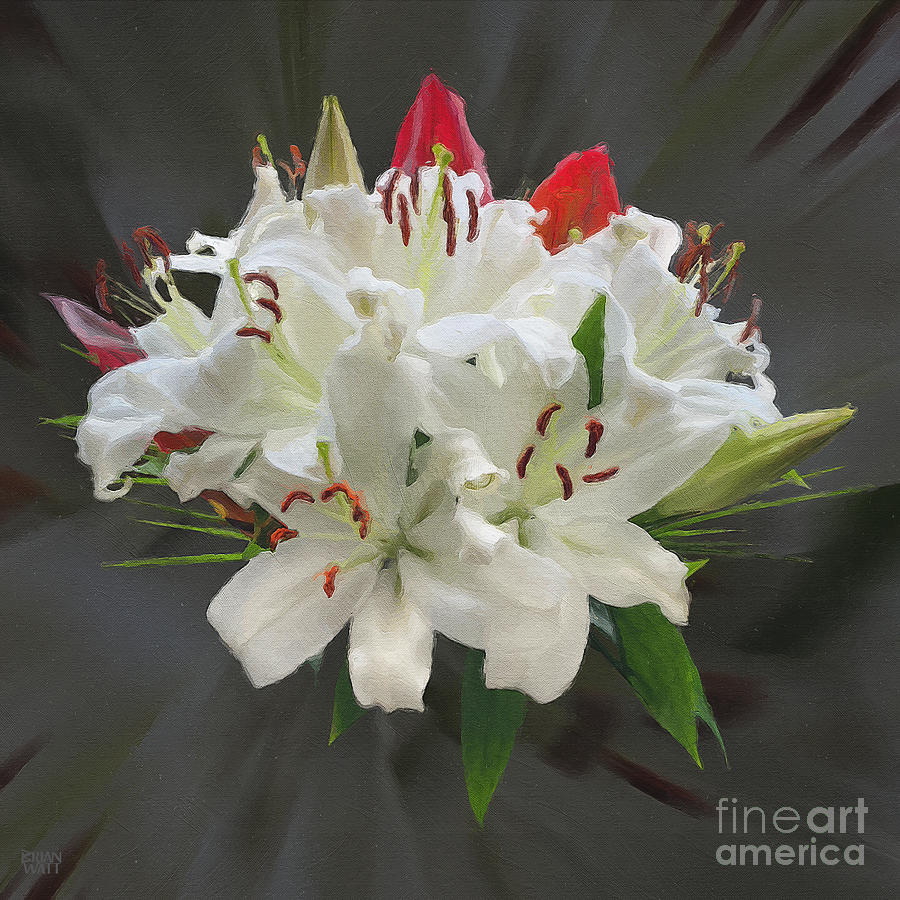 White Bouquet Photograph by Brian Watt