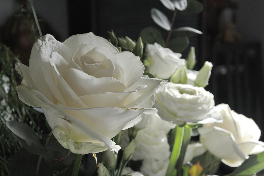 White Bouquet Photograph by Lynne Iddon - Fine Art America