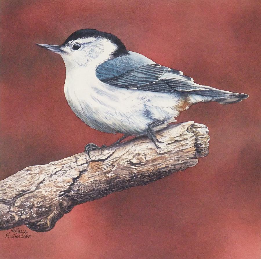 White Breasted Nuthatch Painting by Karen Richardson