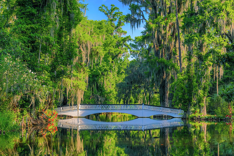 White Bridge Reflection Magnolia Garden Photograph by Dan Sproul
