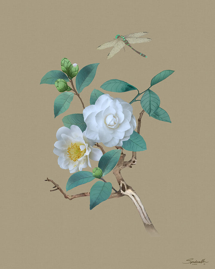 Flower Digital Art - White Camellia Flowers by M Spadecaller