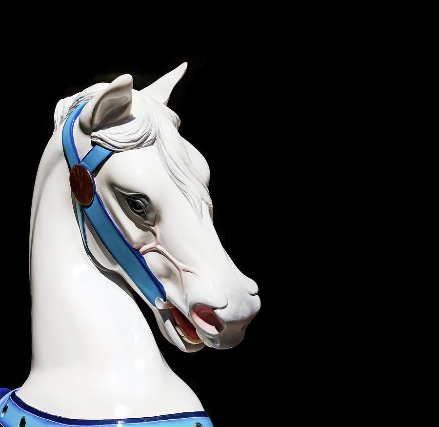 White Carousel Horses Head on Black Background Photograph by Darryl Brooks