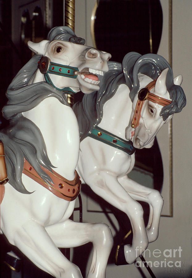 white carousel horses - Two White Stallions Photograph by Sharon Hudson
