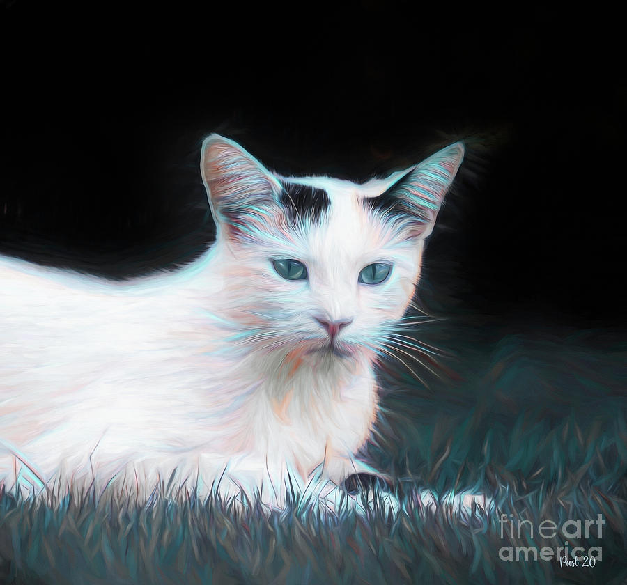 White Cat Photograph by Jutta Maria Pusl
