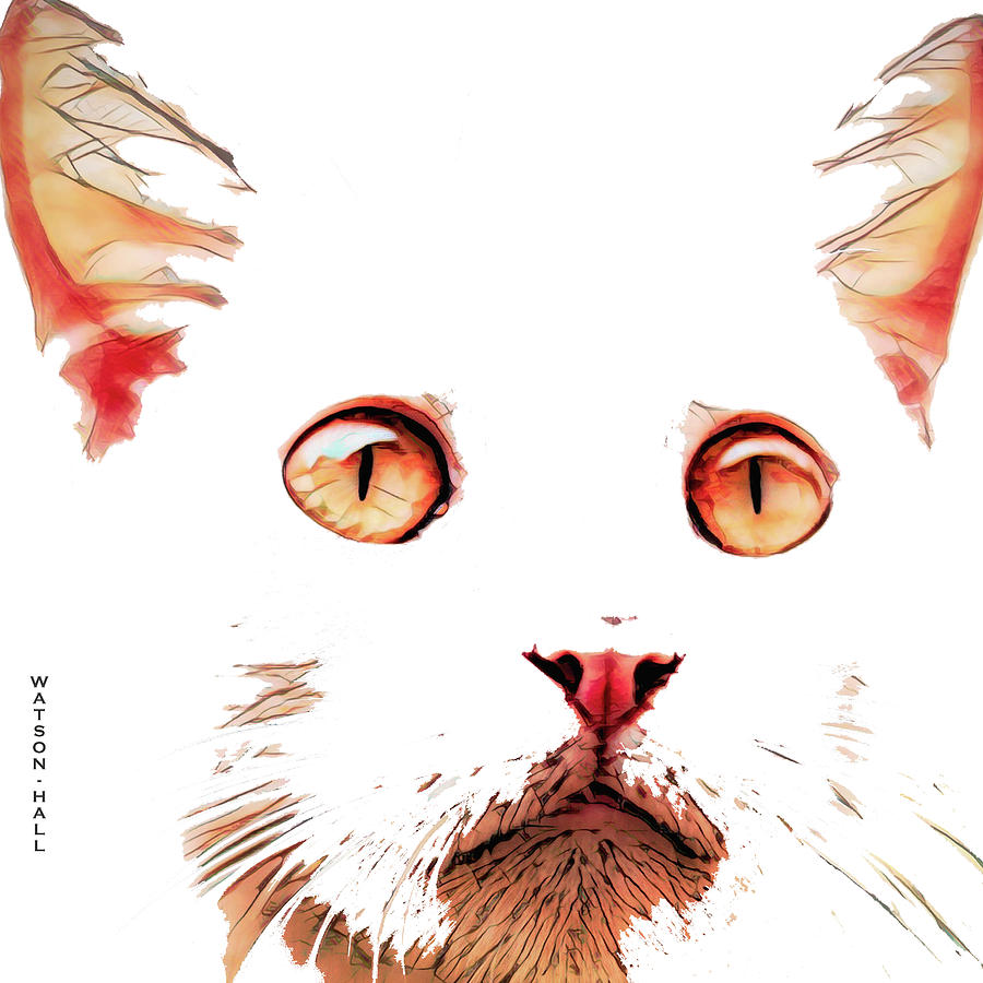 White Cat Portrait Digital Art by Marlene Watson