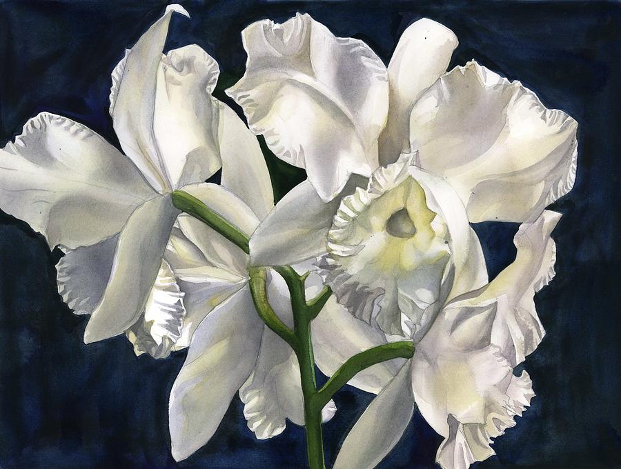 White Cattleya Orchid Watercolor Painting by Alfred Ng
