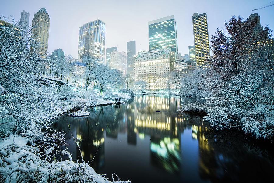 White Central Park Photograph By Michael Rios - Fine Art America