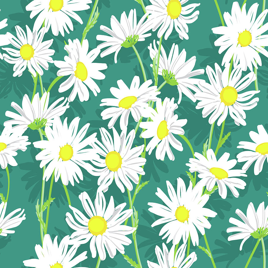 Seamless Doodle Daisy Pattern. Vector Background With White